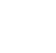 Terre des Femmes Logo